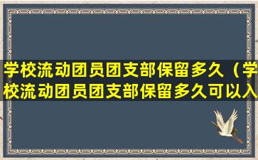 学校流动团员团支部保留多久（学校流动团员团支部保留多久可以入团）