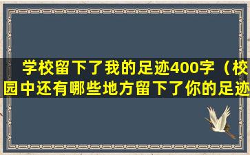 学校留下了我的足迹400字（校园中还有哪些地方留下了你的足迹）