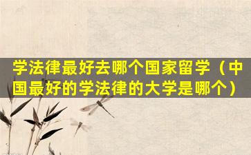 学法律最好去哪个国家留学（中国最好的学法律的大学是哪个）