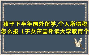 孩子下半年国外留学,个人所得税怎么报（子女在国外读大学教育个人所得税专项扣除多少钱）