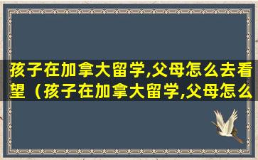 孩子在加拿大留学,父母怎么去看望（孩子在加拿大留学,父母怎么去看望他们）