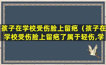 孩子在学校受伤脸上留疤（孩子在学校受伤脸上留疤了属于轻伤,学校应该赔多少钱）
