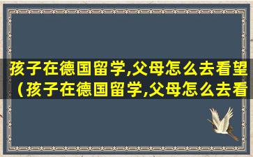 孩子在德国留学,父母怎么去看望（孩子在德国留学,父母怎么去看望他们）