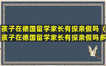 孩子在德国留学家长有探亲假吗（孩子在德国留学家长有探亲假吗多少钱）