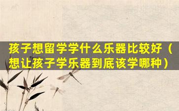 孩子想留学学什么乐器比较好（想让孩子学乐器到底该学哪种）