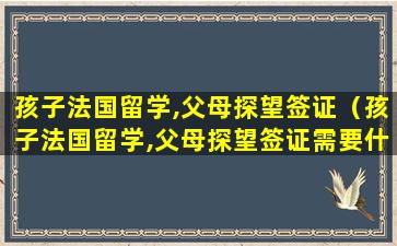 孩子法国留学,父母探望签证（孩子法国留学,父母探望签证需要什么）