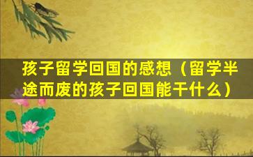 孩子留学回国的感想（留学半途而废的孩子回国能干什么）