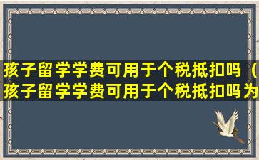 孩子留学学费可用于个税抵扣吗（孩子留学学费可用于个税抵扣吗为什么）