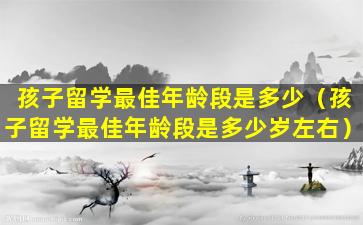 孩子留学最佳年龄段是多少（孩子留学最佳年龄段是多少岁左右）