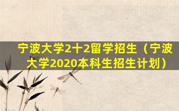 宁波大学2十2留学招生（宁波大学2020本科生招生计划）