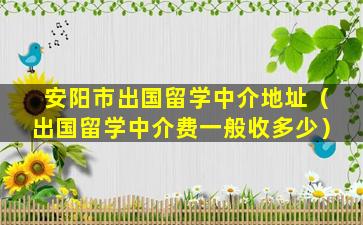 安阳市出国留学中介地址（出国留学中介费一般收多少）