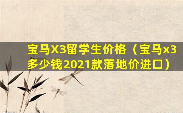 宝马X3留学生价格（宝马x3多少钱2021款落地价进口）