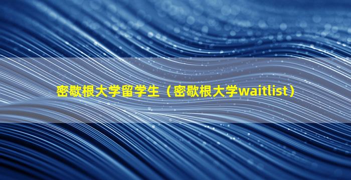 密歇根大学留学生（密歇根大学waitlist）