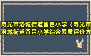 寿光市洛城街道留吕小学（寿光市洛城街道留吕小学综合素质评价方案意见征集）