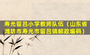 寿光留吕小学教师队伍（山东省潍坊市寿光市留吕镇邮政编码）