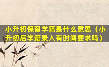 小升初保留学籍是什么意思（小升初后学籍录入有时间要求吗）