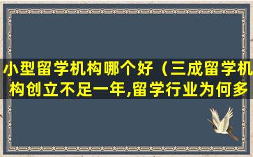 小型留学机构哪个好（三成留学机构创立不足一年,留学行业为何多是小机构）