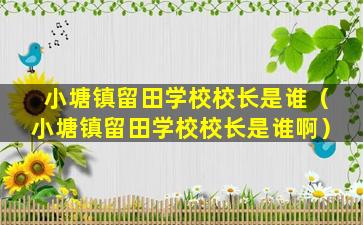 小塘镇留田学校校长是谁（小塘镇留田学校校长是谁啊）