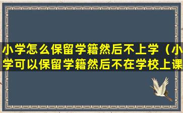 小学怎么保留学籍然后不上学（小学可以保留学籍然后不在学校上课吗）
