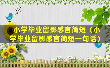 小学毕业留影感言简短（小学毕业留影感言简短一句话）