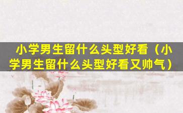 小学男生留什么头型好看（小学男生留什么头型好看又帅气）