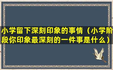 小学留下深刻印象的事情（小学阶段你印象最深刻的一件事是什么）