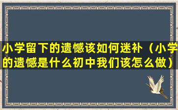 小学留下的遗憾该如何迷补（小学的遗憾是什么初中我们该怎么做）