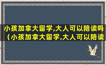 小孩加拿大留学,大人可以陪读吗（小孩加拿大留学,大人可以陪读吗现在）