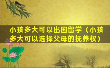 小孩多大可以出国留学（小孩多大可以选择父母的抚养权）