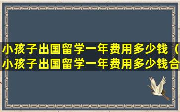 小孩子出国留学一年费用多少钱（小孩子出国留学一年费用多少钱合适）