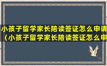 小孩子留学家长陪读签证怎么申请（小孩子留学家长陪读签证怎么申请办理）