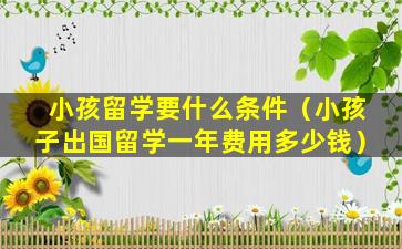 小孩留学要什么条件（小孩子出国留学一年费用多少钱）