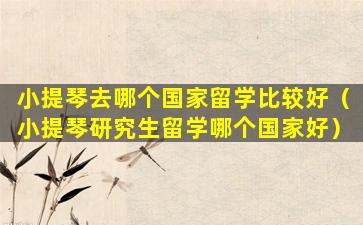 小提琴去哪个国家留学比较好（小提琴研究生留学哪个国家好）