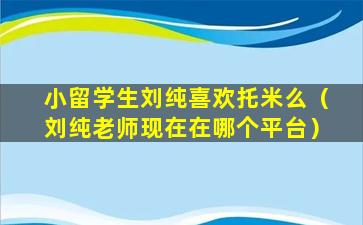 小留学生刘纯喜欢托米么（刘纯老师现在在哪个平台）