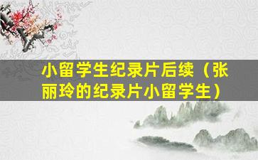 小留学生纪录片后续（张丽玲的纪录片小留学生）