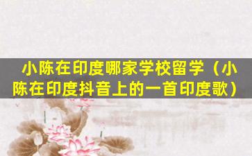 小陈在印度哪家学校留学（小陈在印度抖音上的一首印度歌）