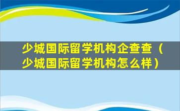 少城国际留学机构企查查（少城国际留学机构怎么样）