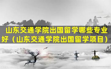 山东交通学院出国留学哪些专业好（山东交通学院出国留学项目）
