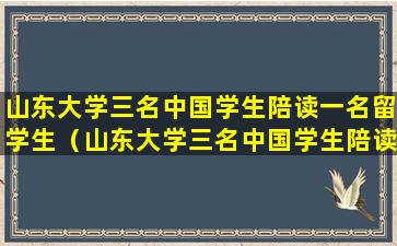 山东大学三名中国学生陪读一名留学生（山东大学三名中国学生陪读一名留学生是谁）