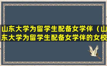 山东大学为留学生配备女学伴（山东大学为留学生配备女学伴的女校长怎么处理）