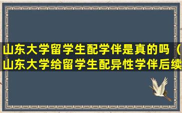 山东大学留学生配学伴是真的吗（山东大学给留学生配异性学伴后续情况）