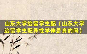 山东大学给留学生配（山东大学给留学生配异性学伴是真的吗）