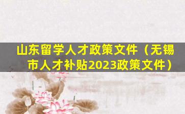山东留学人才政策文件（无锡市人才补贴2023政策文件）