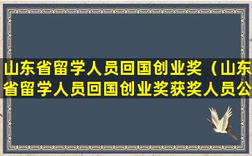 山东省留学人员回国创业奖（山东省留学人员回国创业奖获奖人员公布）