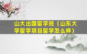 山大出国留学班（山东大学留学项目留学怎么样）