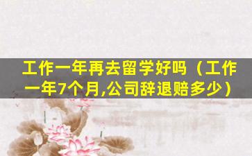 工作一年再去留学好吗（工作一年7个月,公司辞退赔多少）