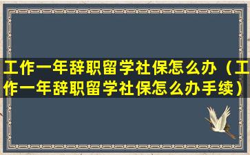 工作一年辞职留学社保怎么办（工作一年辞职留学社保怎么办手续）