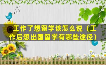工作了想留学该怎么说（工作后想出国留学有哪些途径）