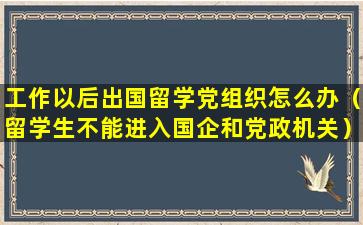 工作以后出国留学党组织怎么办（留学生不能进入国企和党政机关）