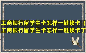 工商银行留学生卡怎样一键锁卡（工商银行留学生卡怎样一键锁卡了）